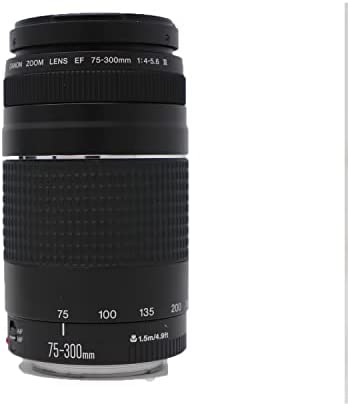 EOS 90D DSLR Camera with EF-S 18-55mm f/3.5-5.6 STM & 75-300mm III Lens Bundle + Sandisk 64GB Memory + Professional Accessory Bundle - Image 6