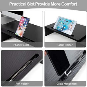 AMERIERGO Dual Monitor Stand -Adjustable Length and Angle, Dual Monitor Riser, Computer Monitor Stand w/2 Slot, Desktop Organizer, Monitor Stand Riser for PC, Computer, Laptop (Black)