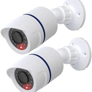 WALI Dummy Fake Camera, Surveillance Security CCTV Dome Camera, Indoor Outdoor Camera, with One LED Light, Security Alert Sticker Decals (TC-W2), 2 Pack, White