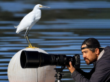 DPReview TV: The best camera for wildlife photography (at 3 budgets): Digital Photography Review